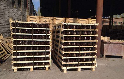 Image Caption